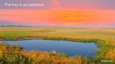 Small water hole in the midst of a prairie under colorful skies.