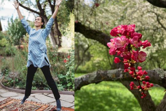 Self-Breema exercises (prominently featured in our on-line classes) are a simple and practical way to experience body-mind connection, which we can use to support our life anytime, anywhere.