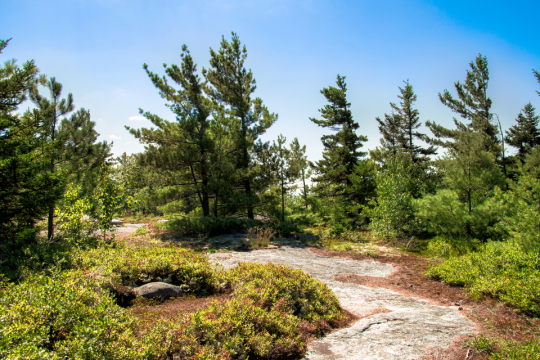 Mountain top landscape on Mount Major in Maine.