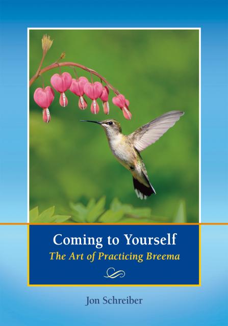Coming to Yourself book by Jon Schreiber